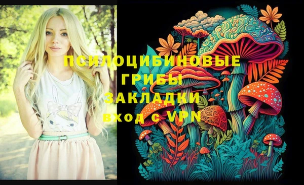ешки Липки