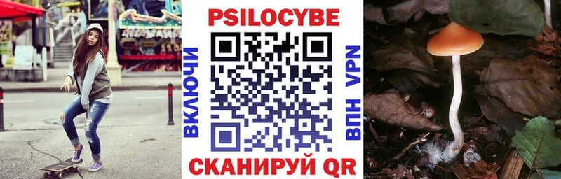 Галлюциногенные грибы мицелий  закладка  Новозыбков 