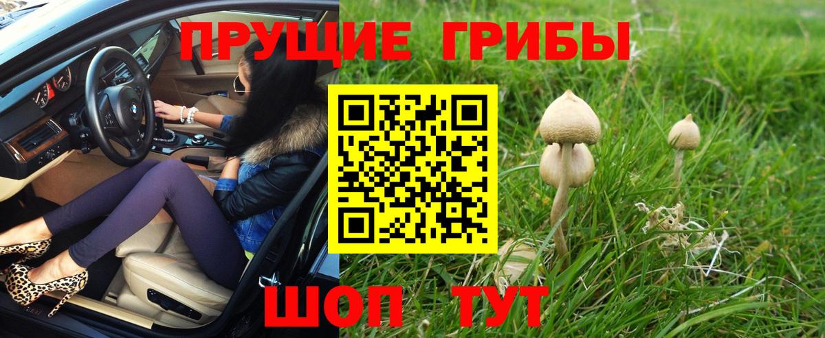Псилоцибиновые грибы GOLDEN TEACHER Новозыбков
