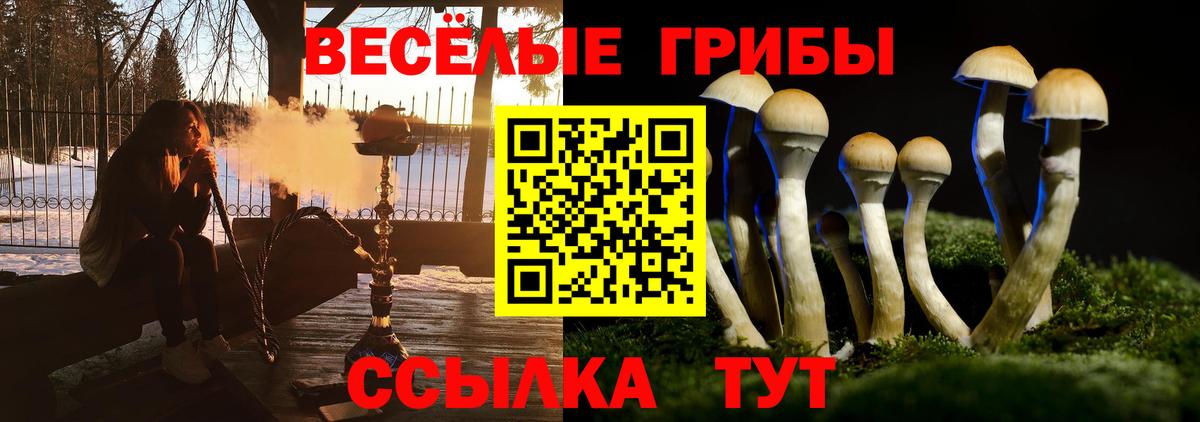 Новозыбков  Псилоцибиновые грибы MAGIC MUSHROOMS  Вход с VPN 