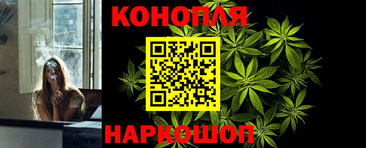 Марихуана конопля Новозыбков